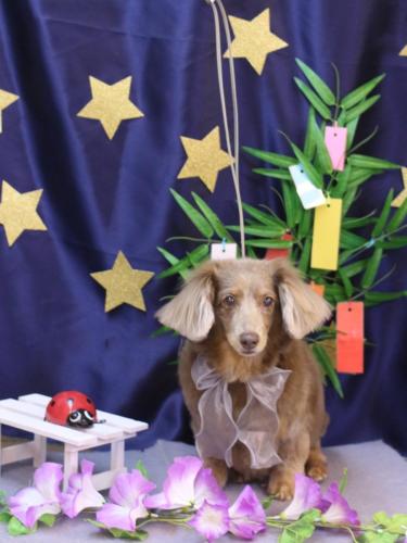 20230725桃ちゃん